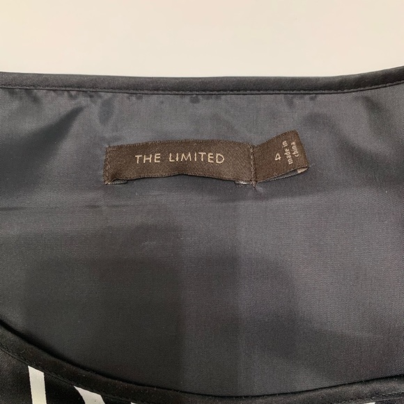 Limited black and white zebra print dress - Picture 3 of 5